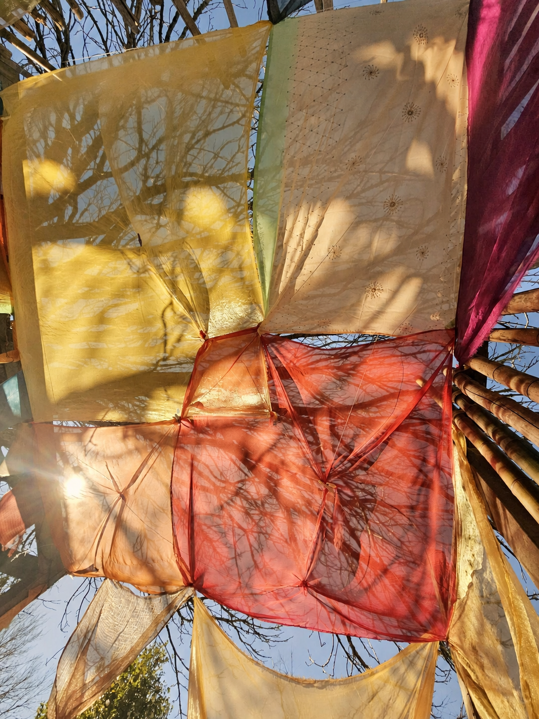 A colourful sensory outdoor space at Royal Oak